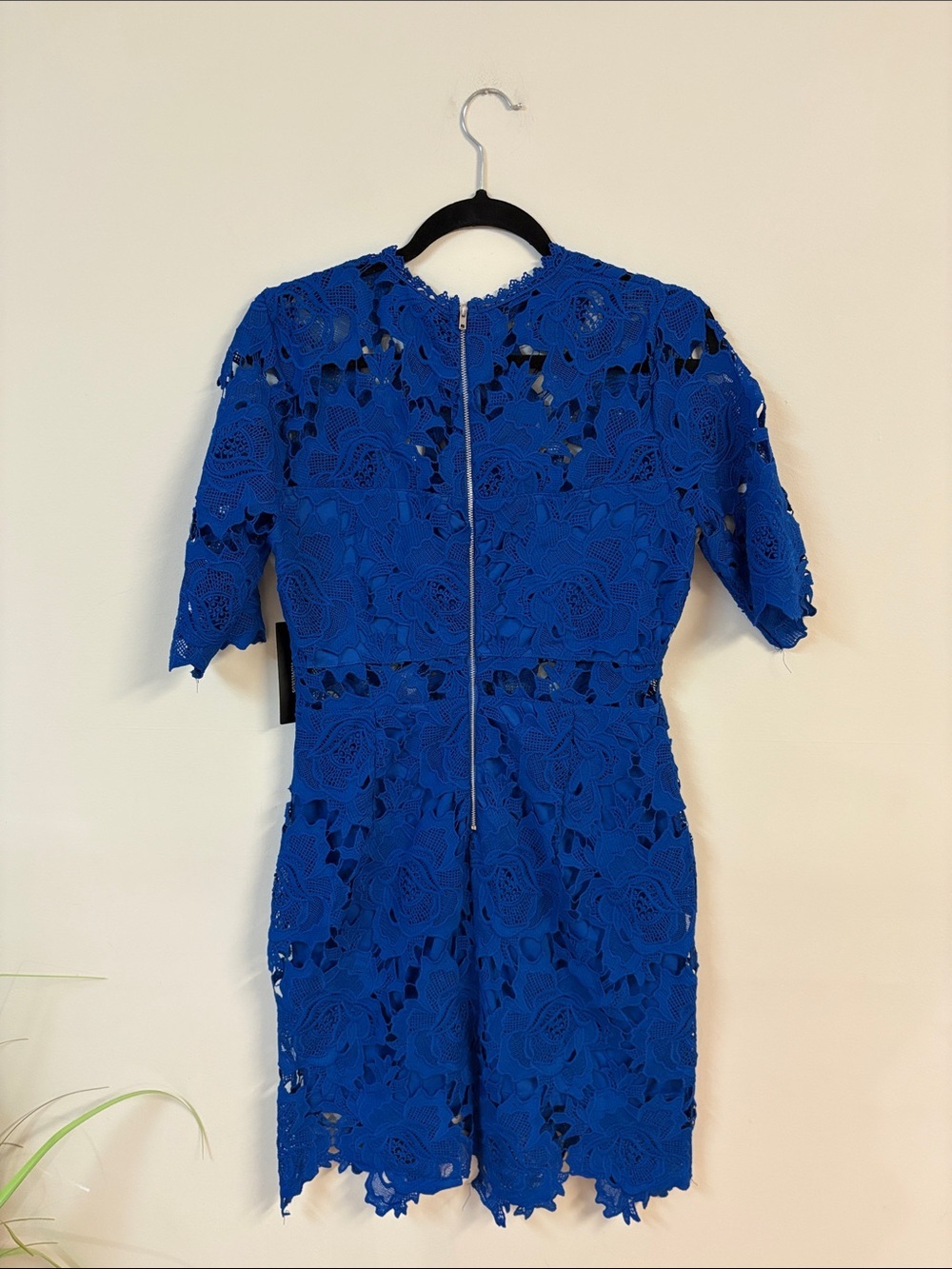 ❤️ BNWT A Fine Romance Cobalt Blue Lace Sheath Dress size M wedding guest dress - Picture 5 of 7